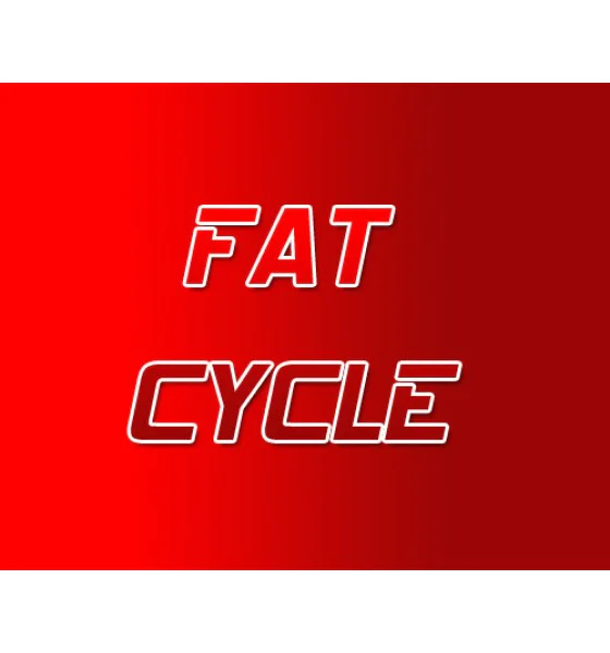 17 Fat Burner Steroid Cycle - Image 1